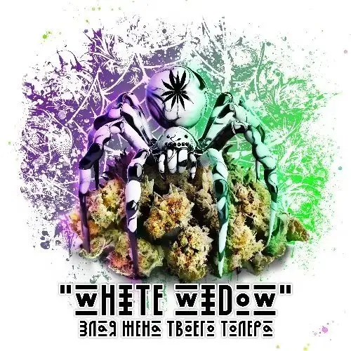 Бошки "White Widow"